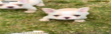 Princess Puppy 2