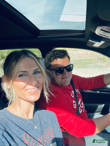 Gallery Image {{count}}