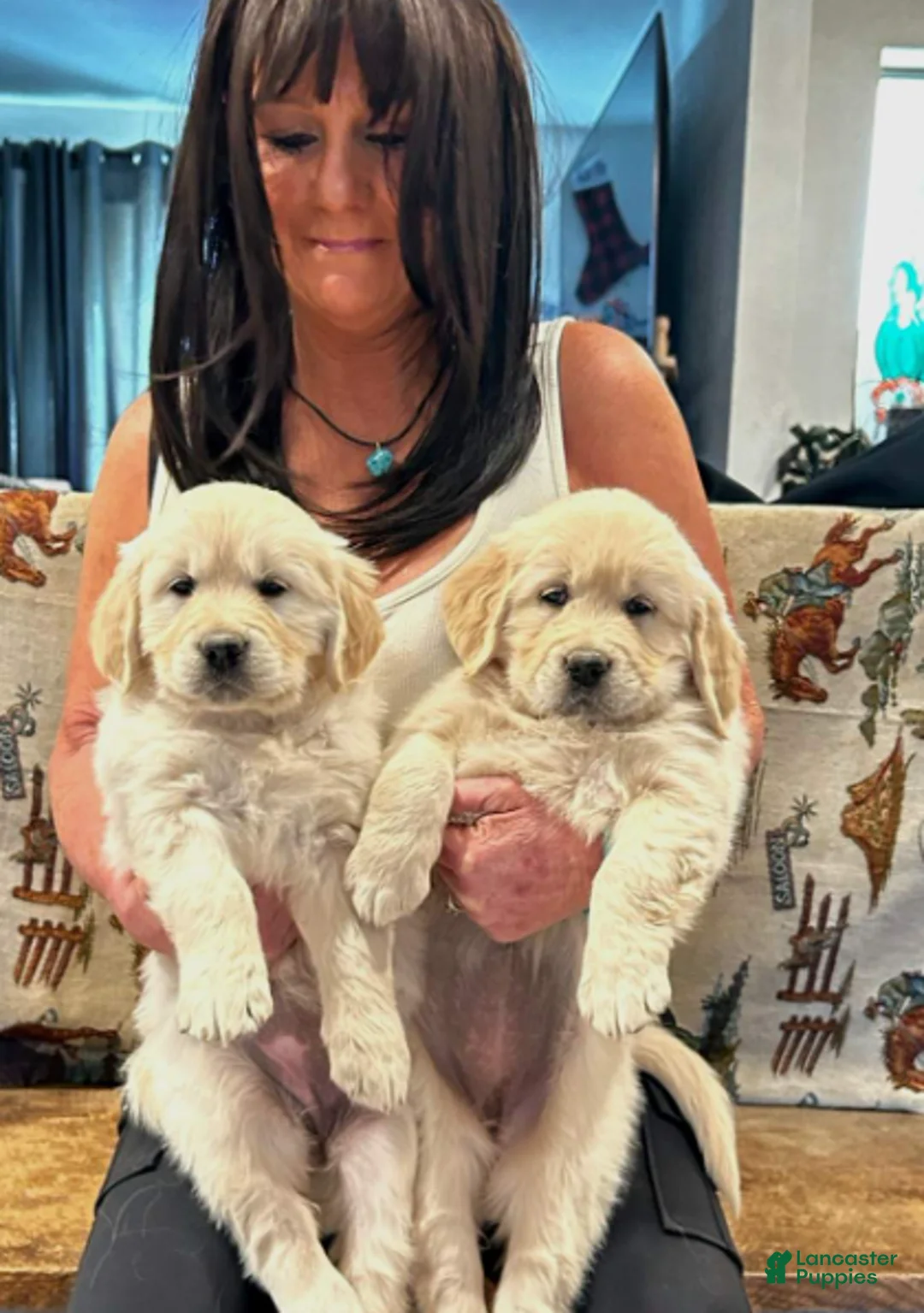 Golden Retriever dogs for sale: Peaches - Ad 4