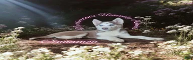 Cinnamon 
