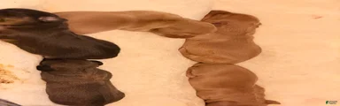 Dachshund 2
