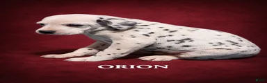 Orion
