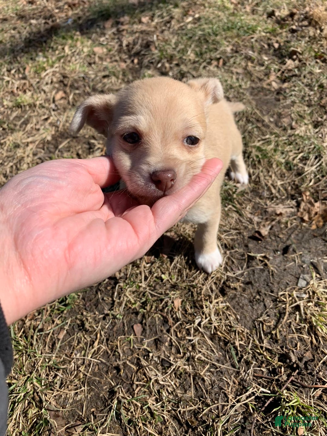 Gallery Image {{count}}