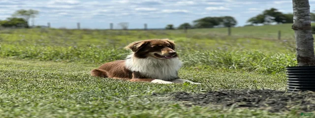 Buster