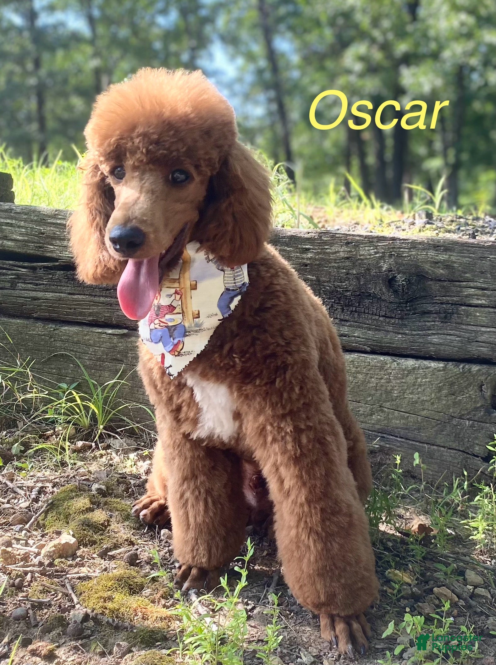 Oscar