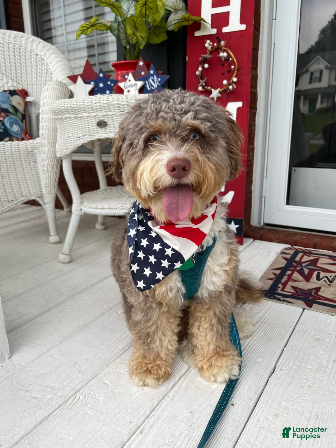 Gallery Image {{count}}