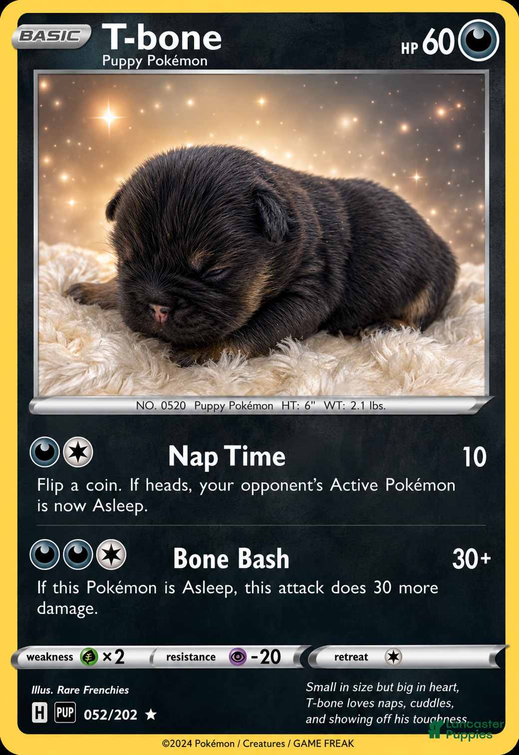 French Bulldog dogs T-Bone - Ad 4
