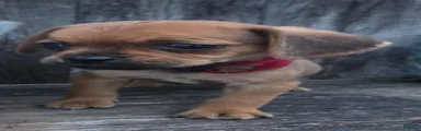 Smudge