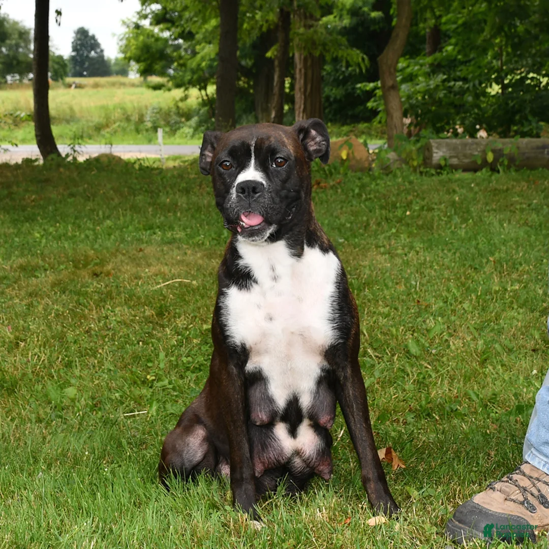 Gallery Image {{count}}