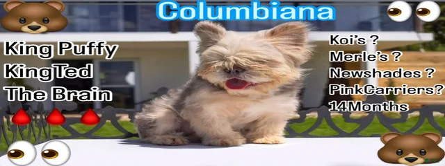 Columbiana
