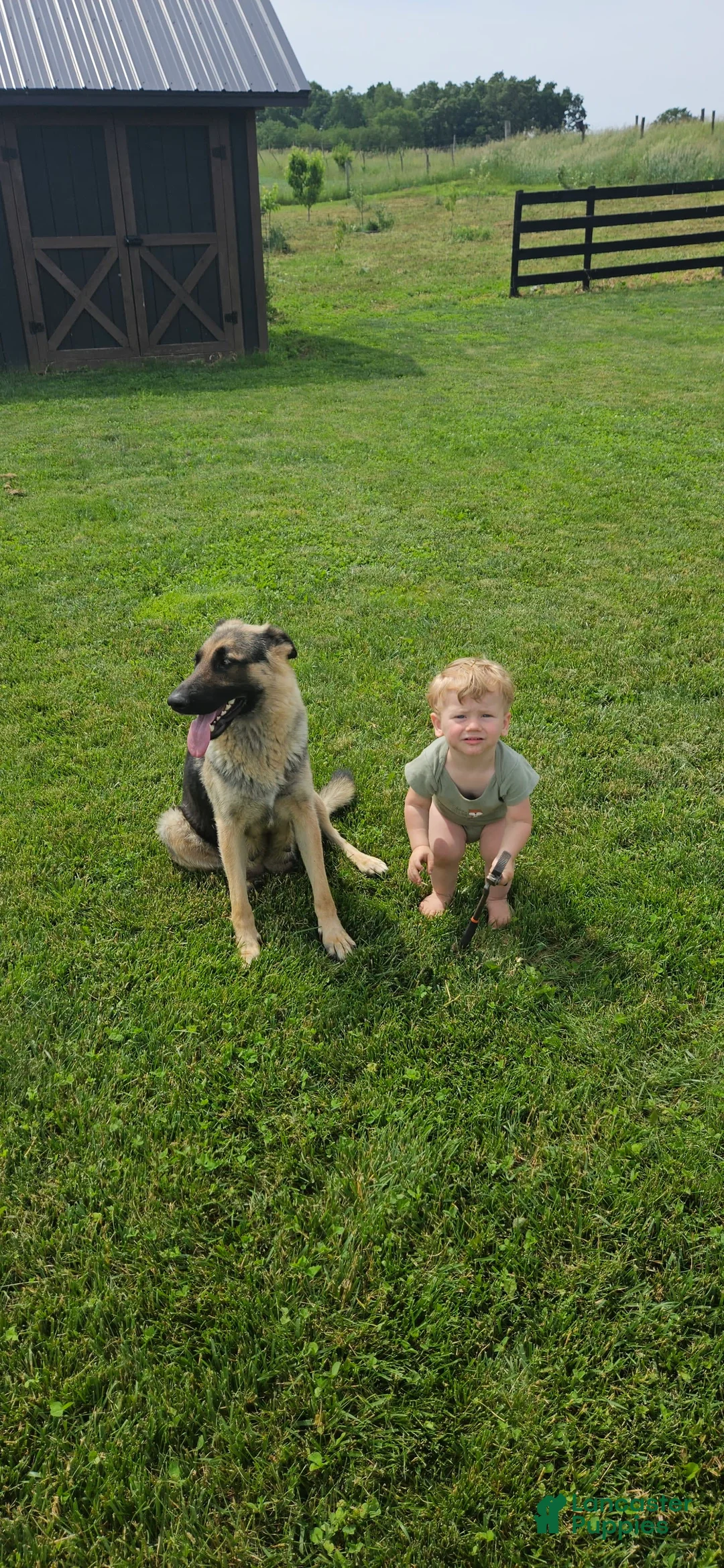 Gallery Image {{count}}