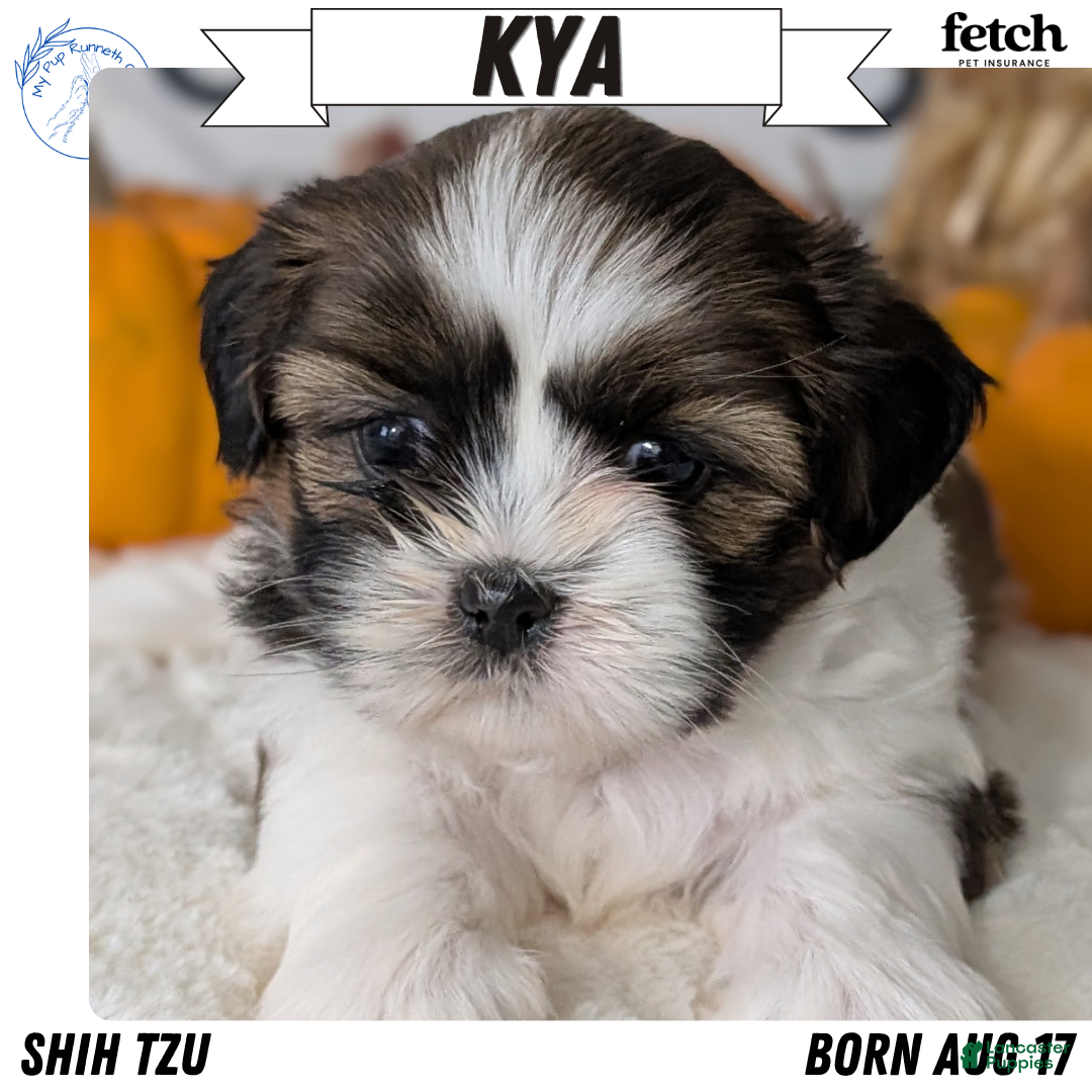 Kya