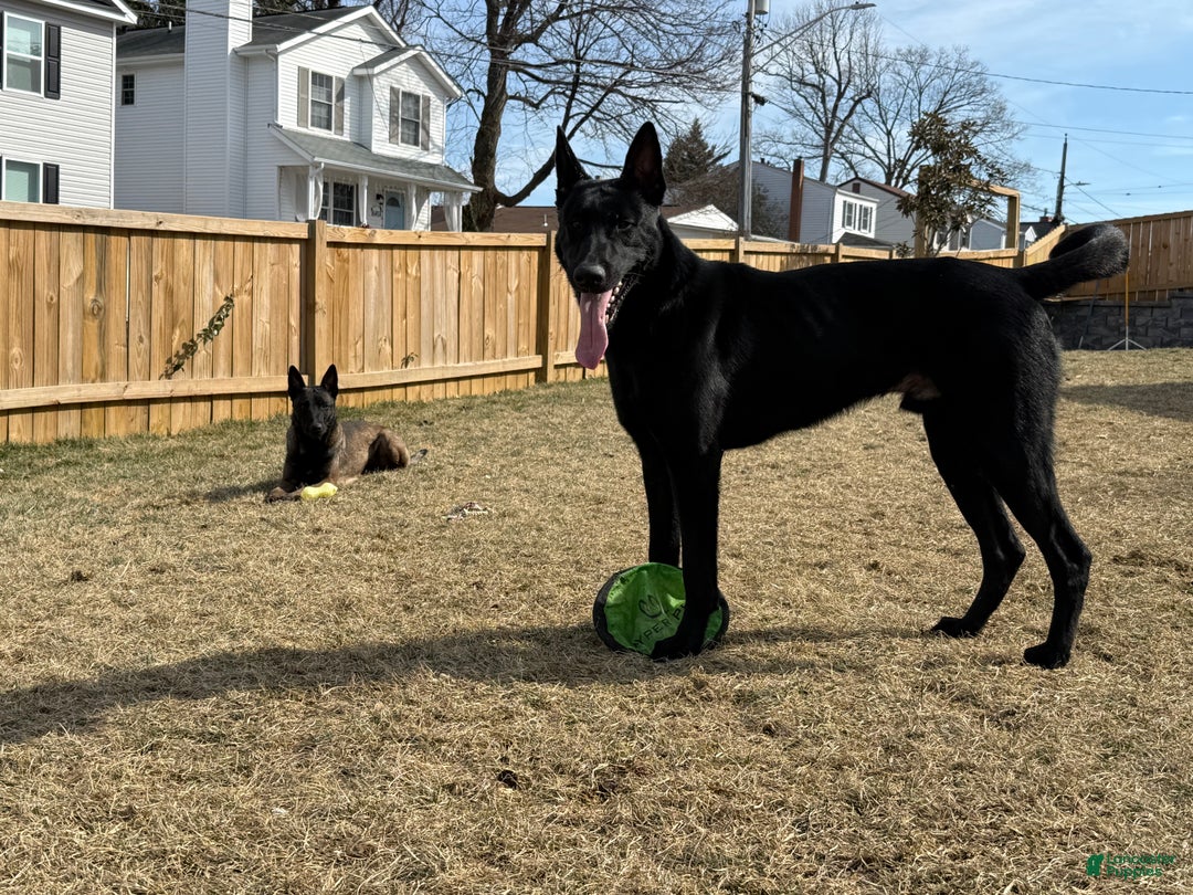 Gallery Image {{count}}