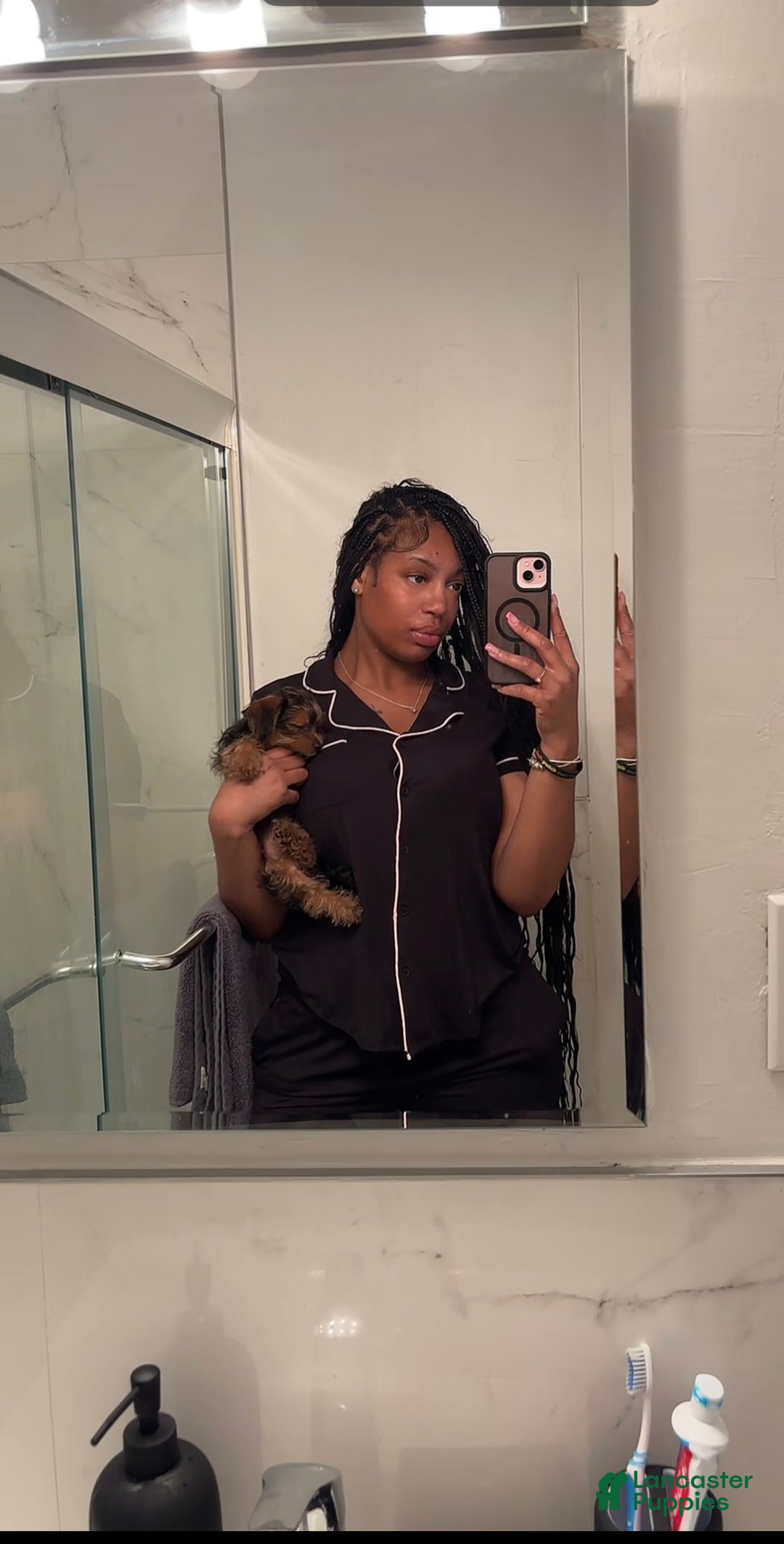 Yorkiepoo dogs for sale: Yorkiepoo Puppy 2 - Ad 1