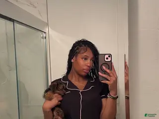 Yorkiepoo dogs Yorkiepoo Puppy 2 - Ad 19