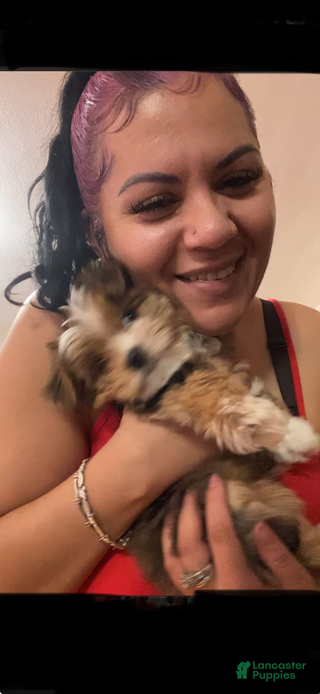 Gallery Image {{count}}