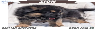 Zion