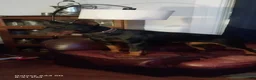Doberman Pinscher dogs for sale: Doberman Pinscher Puppy 3 - Ad 2