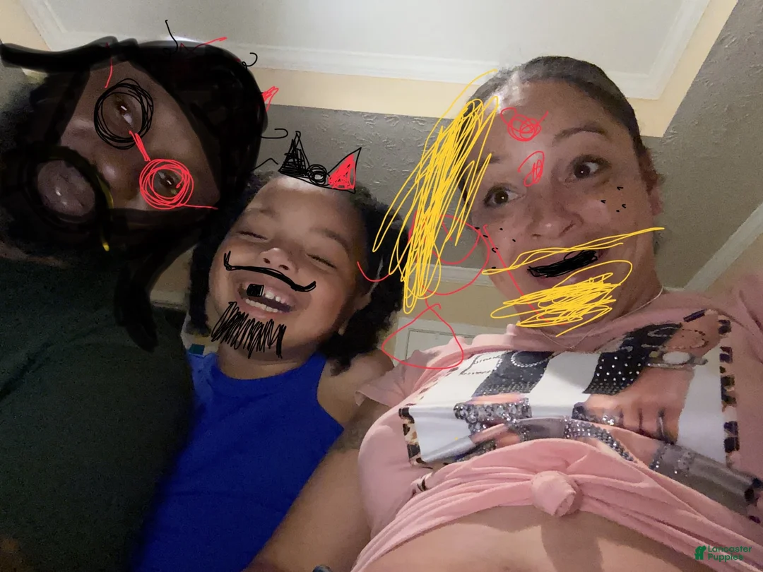 Gallery Image {{count}}