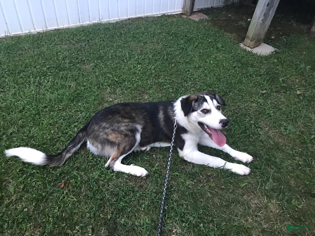 Gallery Image {{count}}