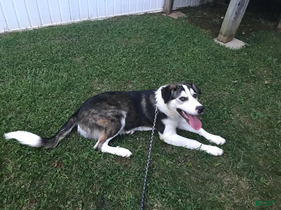 Gallery Image {{count}}