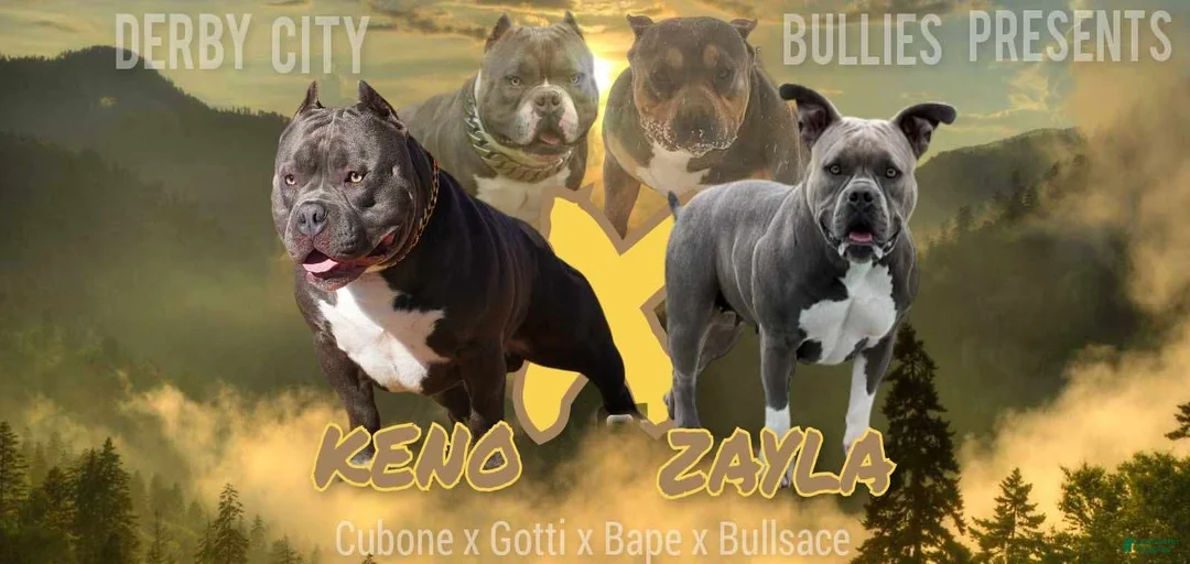 Gallery Image {{count}}