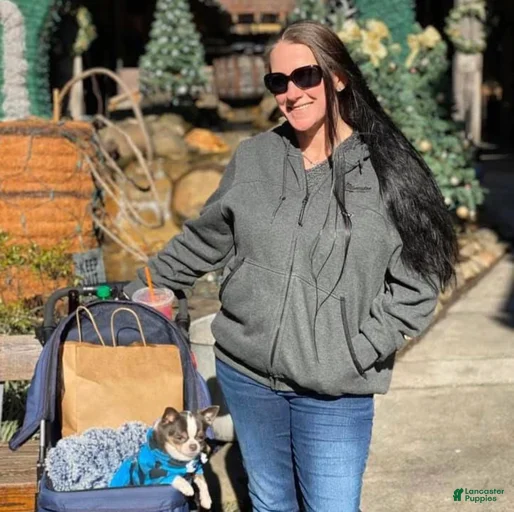 Gallery Image {{count}}