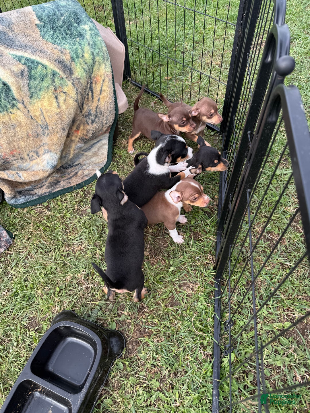 Gallery Image {{count}}