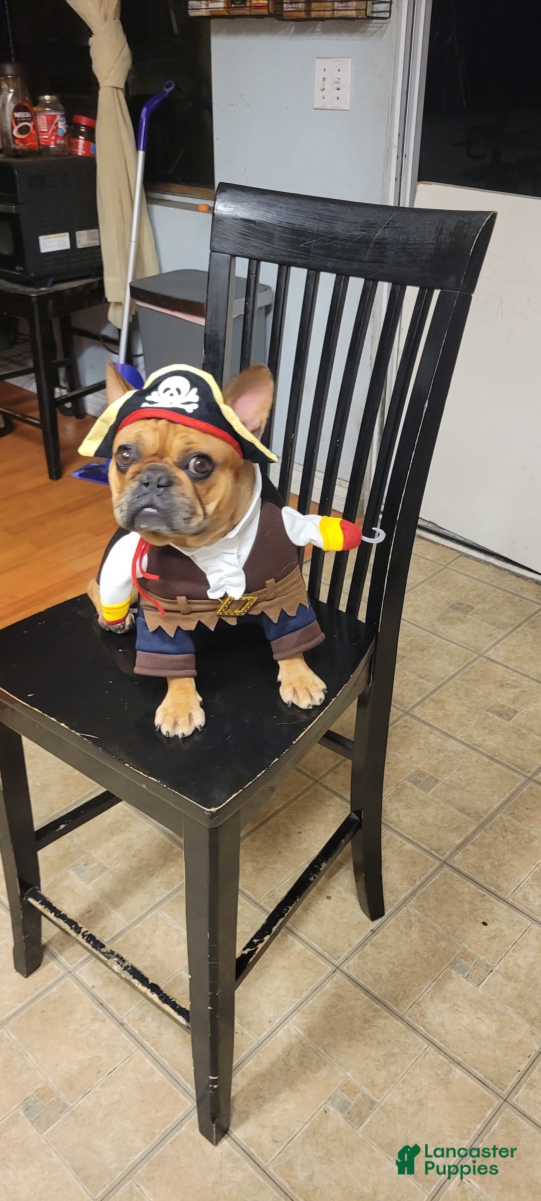 Gallery Image {{count}}