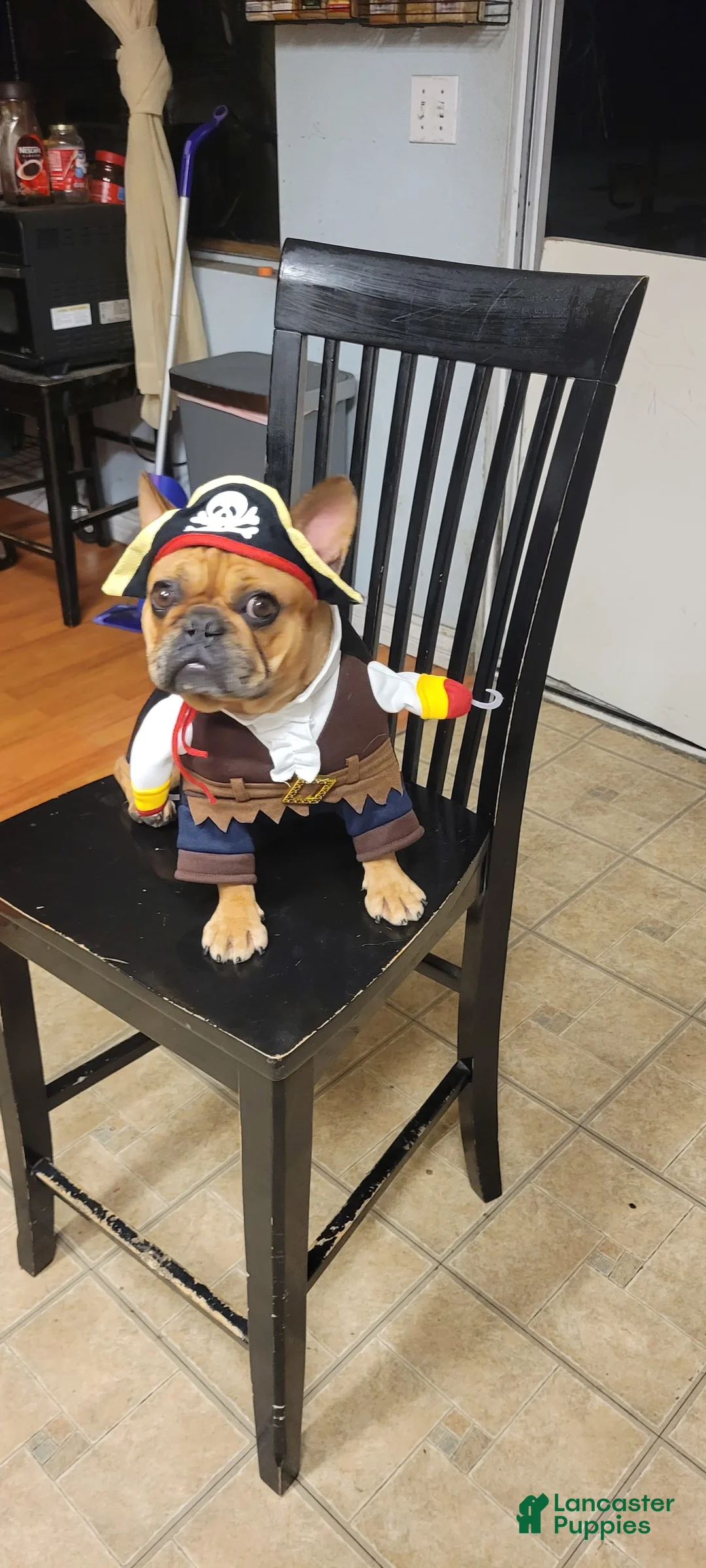 Gallery Image {{count}}