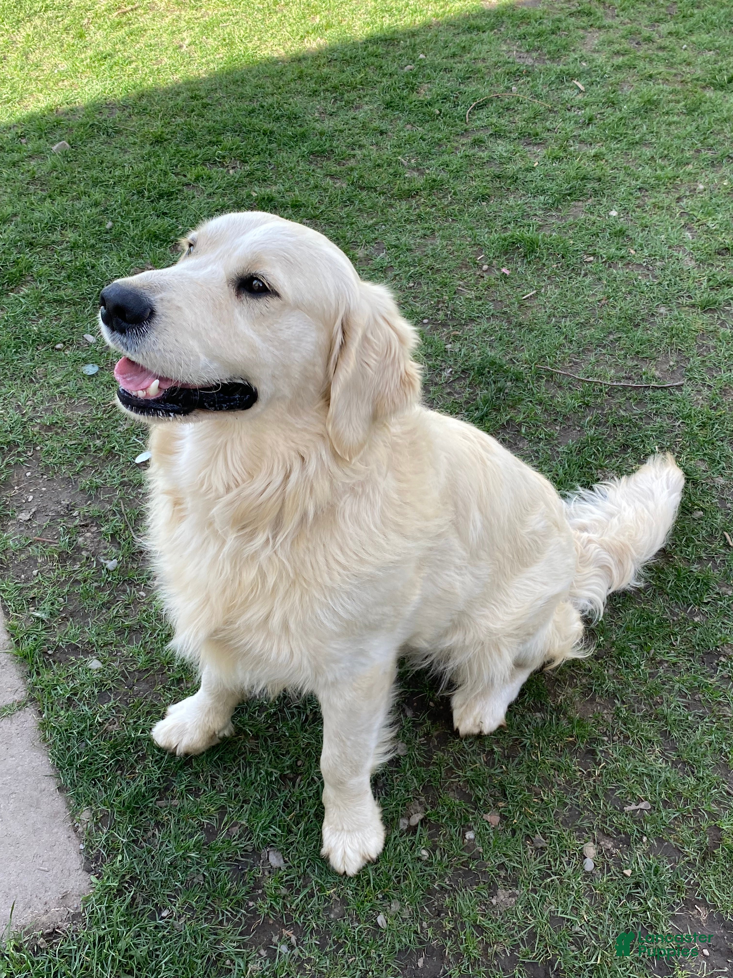 Max
