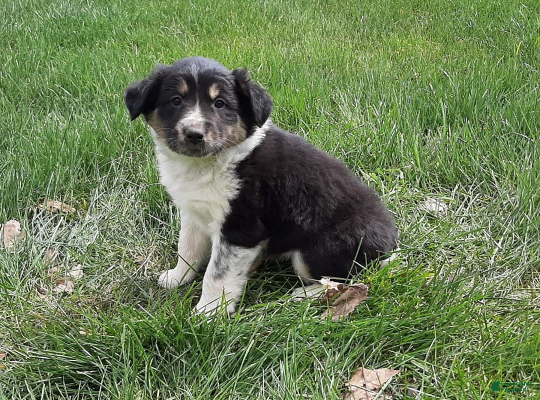 Gallery Image {{count}}