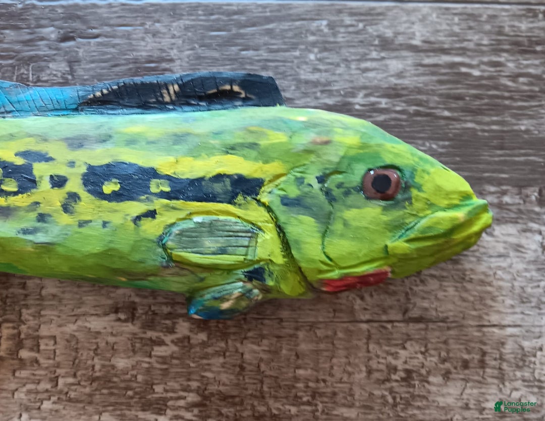 Gallery Image {{count}}