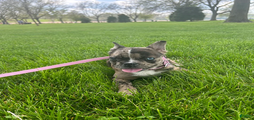 Gallery Image {{count}}