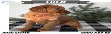 Eden