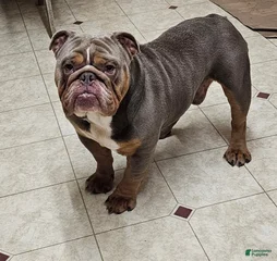 Benito