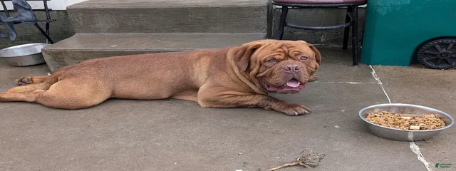 Bobby