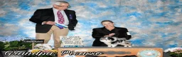 Pomeranian dogs for sale: Dumpling - Ad 8