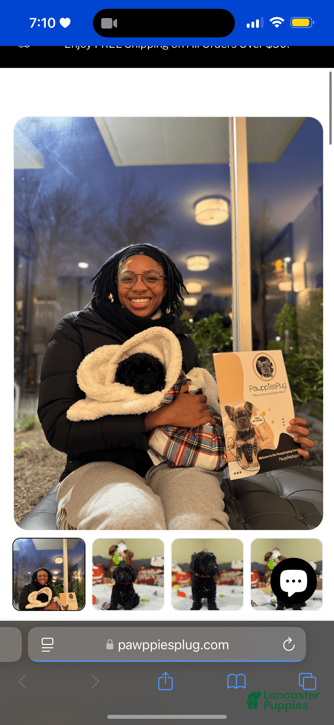 Gallery Image {{count}}