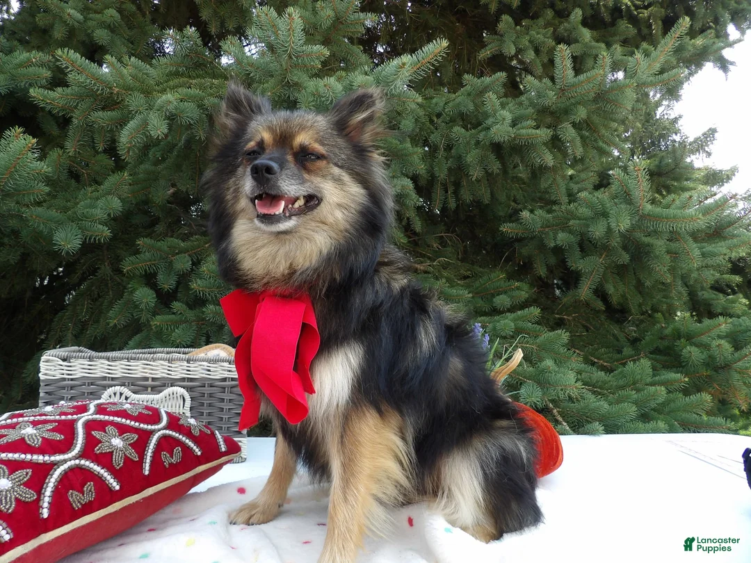 Gallery Image {{count}}