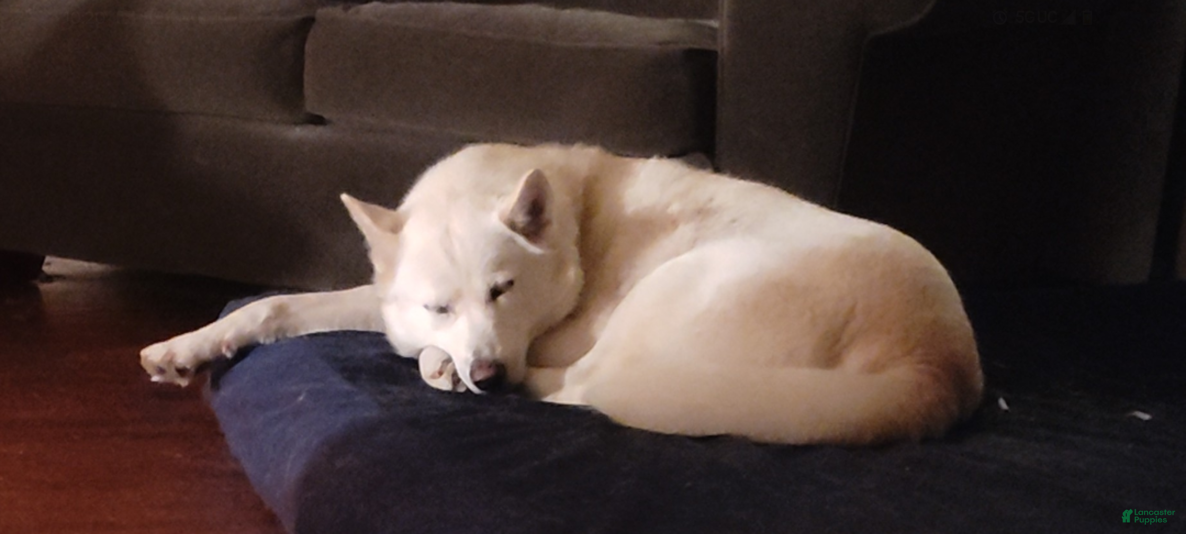 HERA