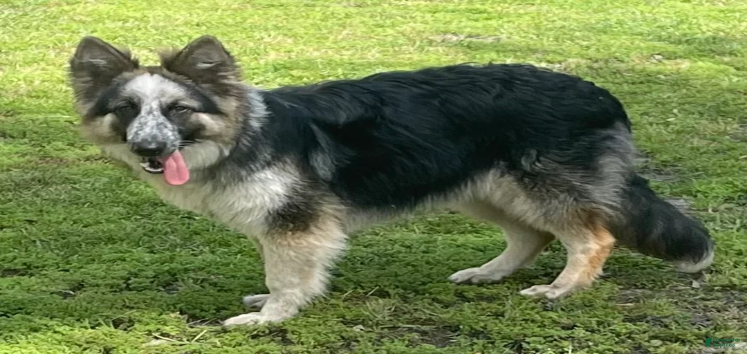 Gallery Image {{count}}