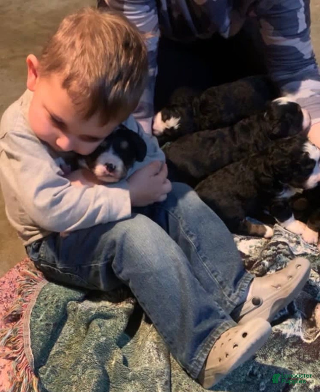 Gallery Image {{count}}