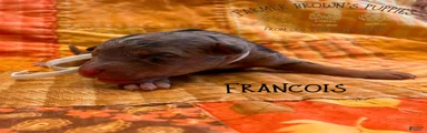 Francois