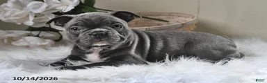 Benny