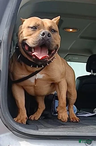 Gallery Image {{count}}