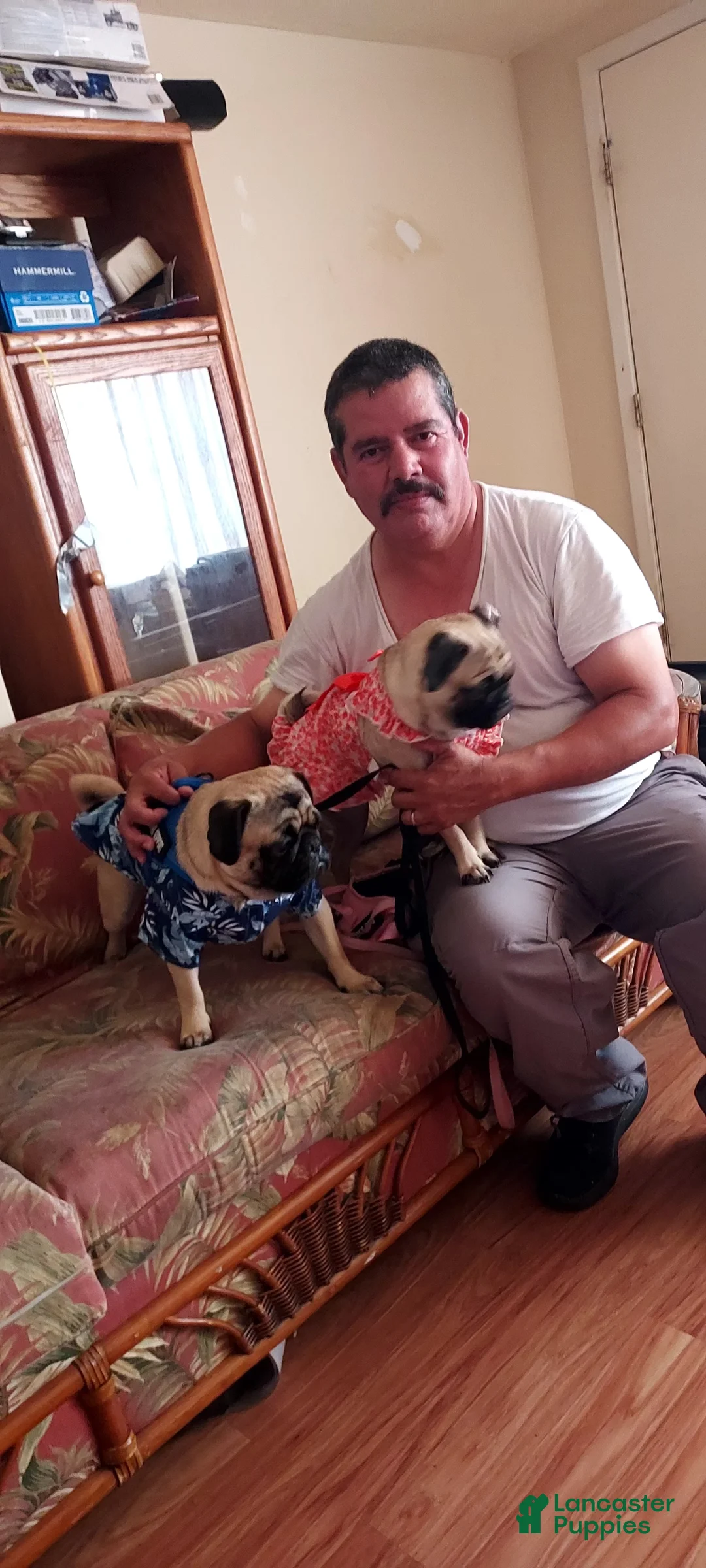 Gallery Image {{count}}