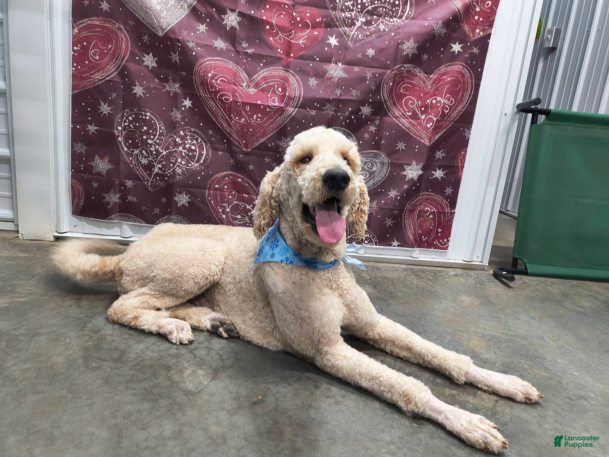 Milo