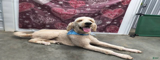 Milo