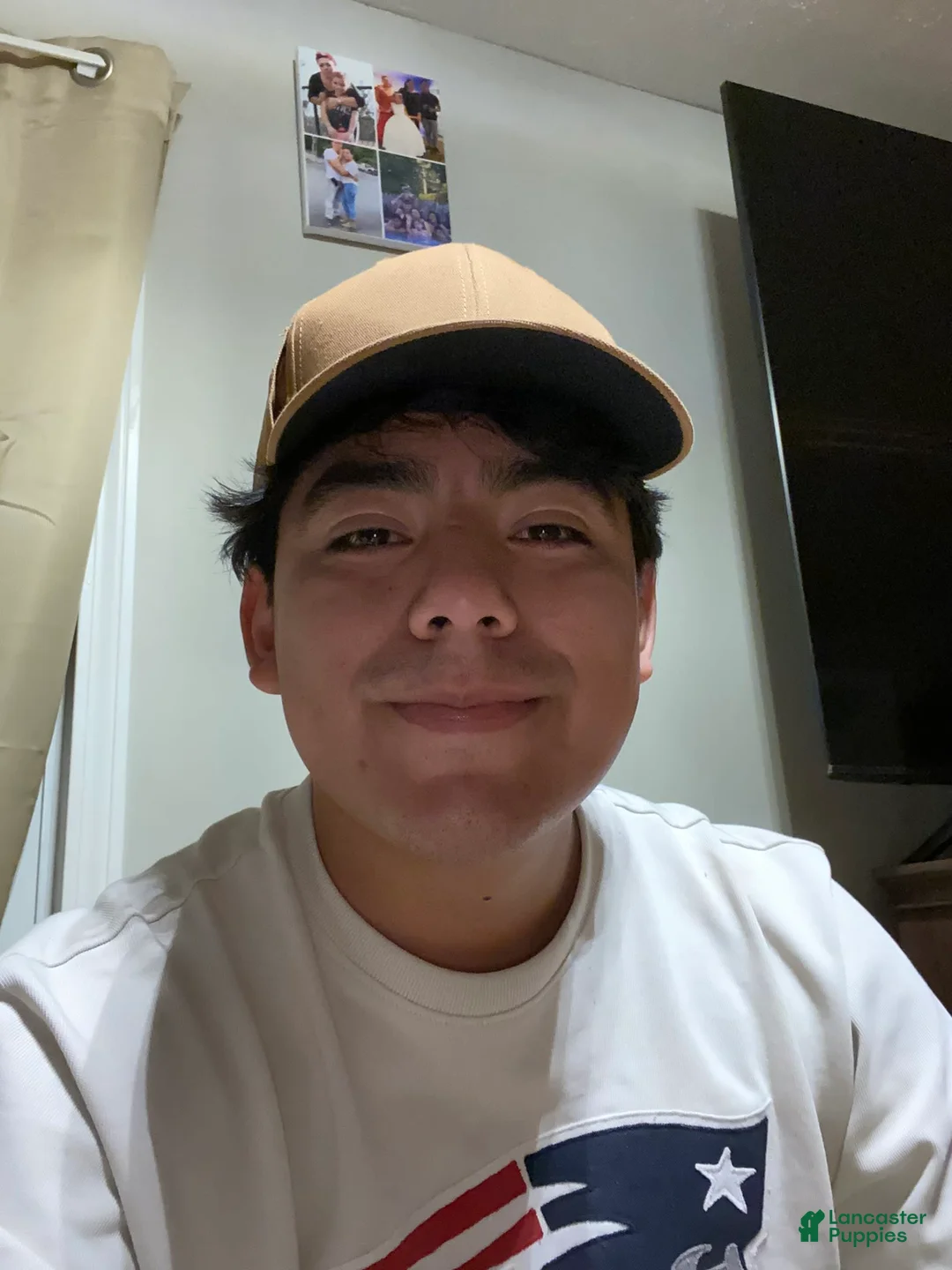 Gallery Image {{count}}